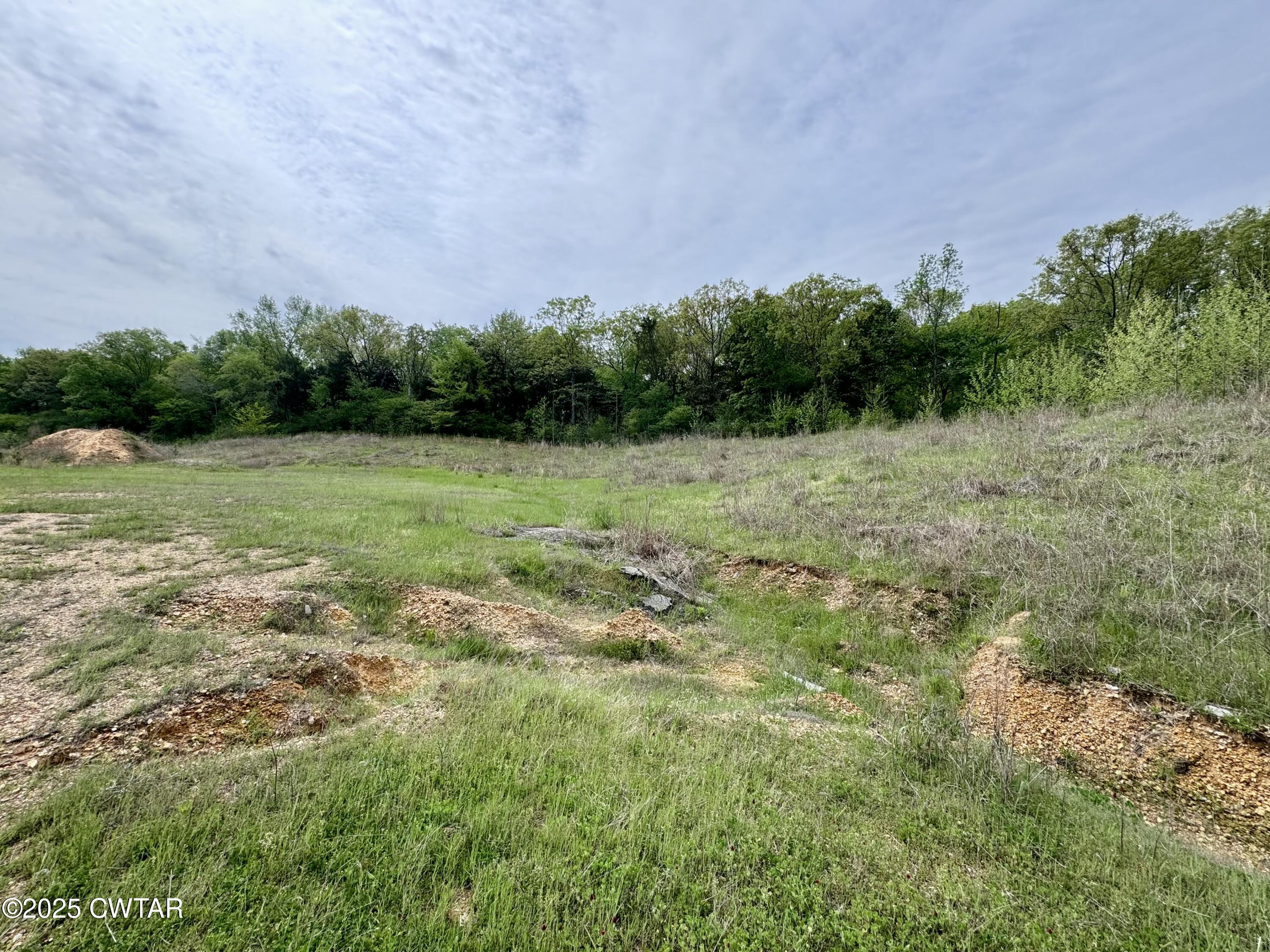 0 Pickwick Road Savannah, TN 38372 - Photo 6 of 15 a view of field with green space