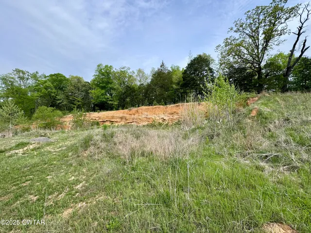 a view of a yard with plants and a trees