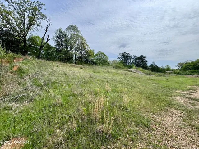 a backyard of a house with lots of green space and trees