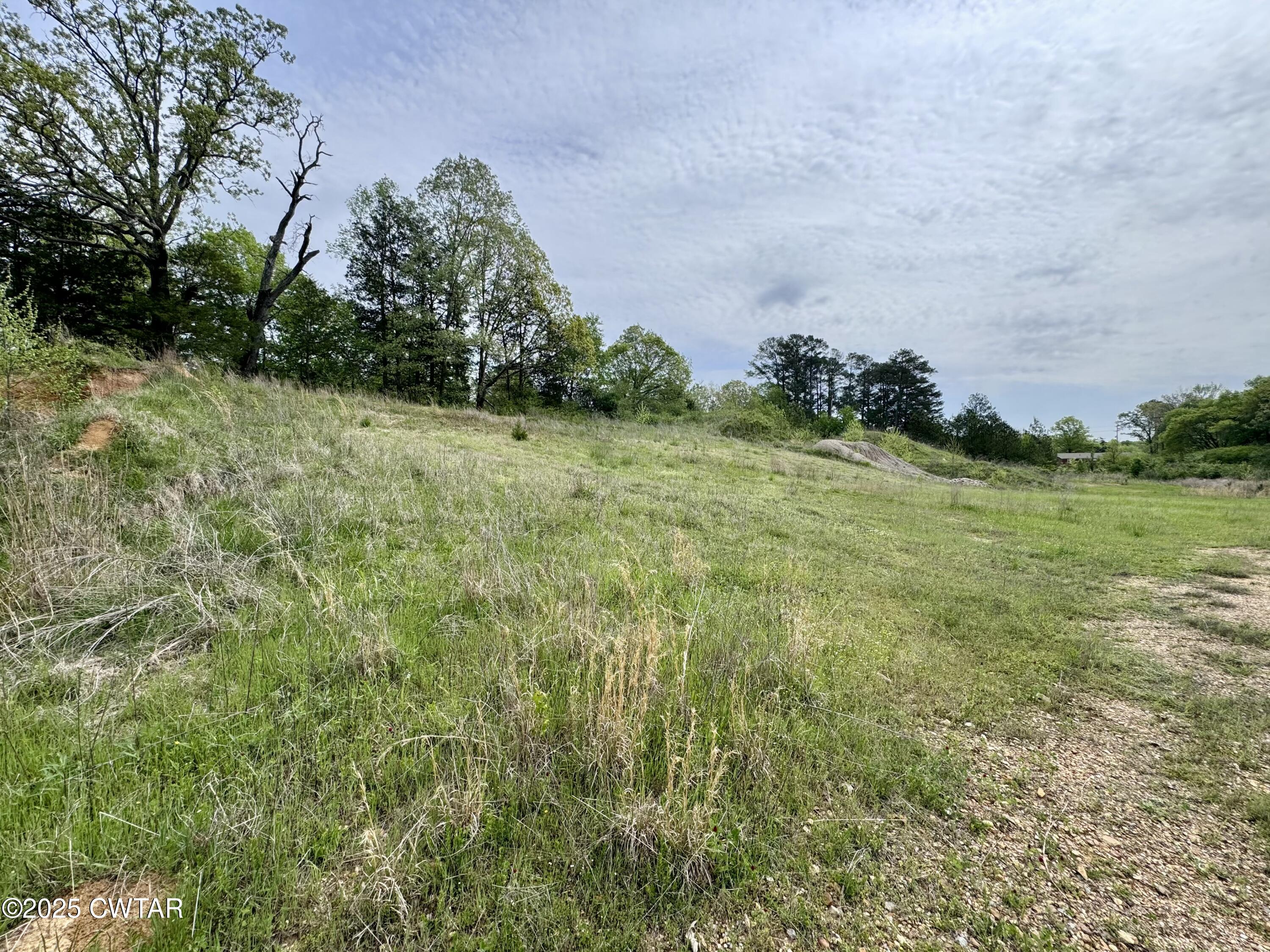 0 Pickwick Road Savannah, TN 38372 - Photo 8 of 15 a backyard of a house with lots of green space and trees