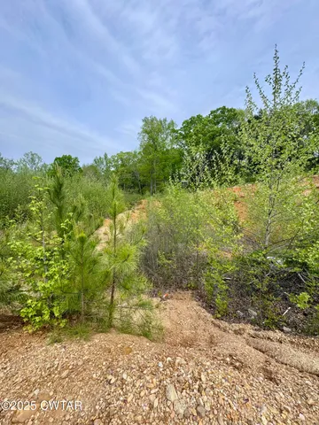 a view of a yard with plants and a bench