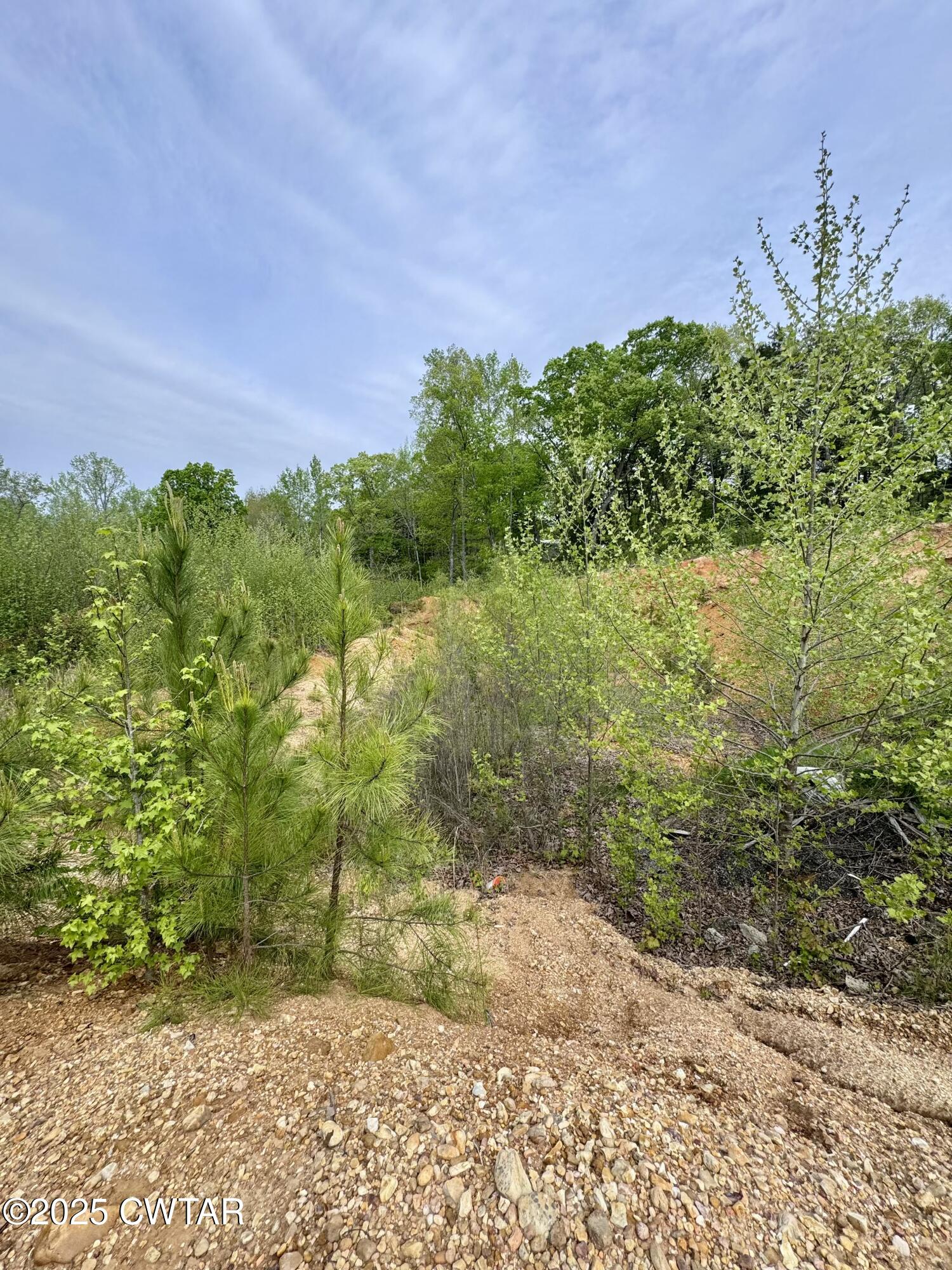 0 Pickwick Road Savannah, TN 38372 - Photo 10 of 15 a view of a yard with plants and a bench