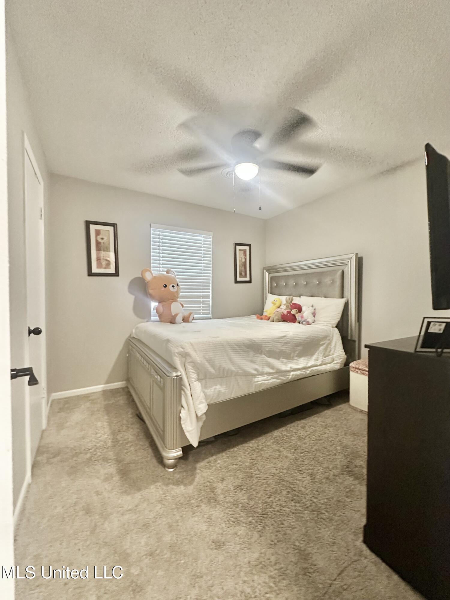 6895 Belle Meade Road Horn Lake, MS 38637 - Photo 11 of 14 IMG_0389