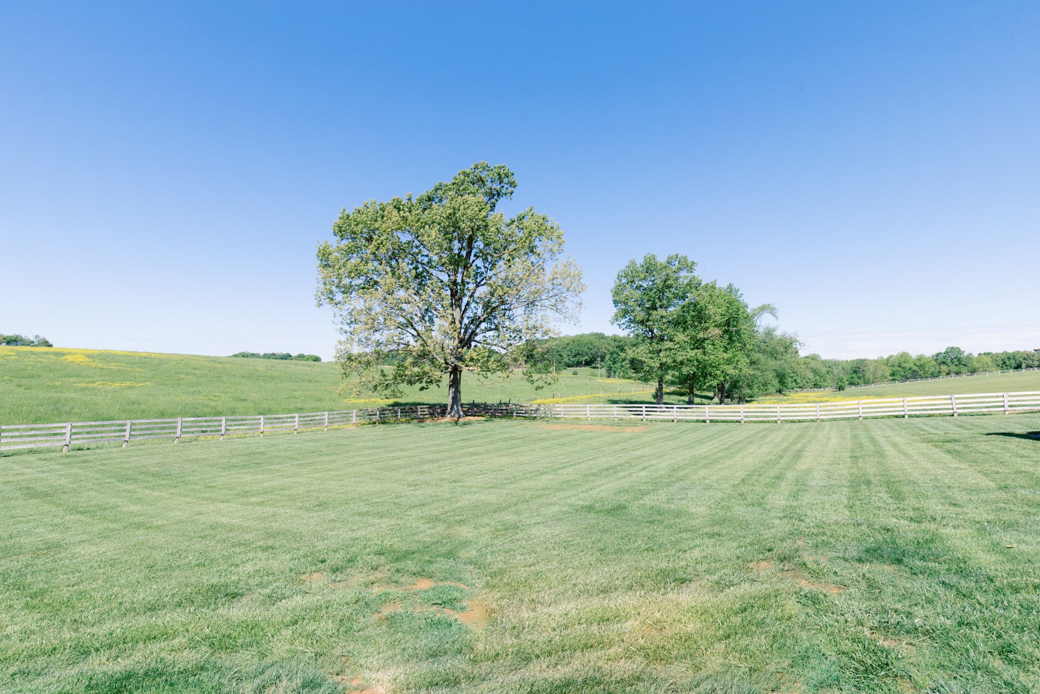 6022 Wayman Dunn Road Springfield, TN 37172 - Photo 33 of 35 a view of a lake view