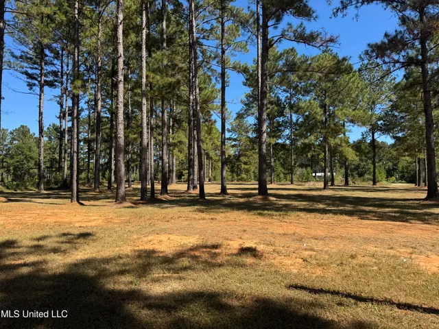 $140,000 | 124 Ida Miller Road, Lucedale, MS 39452