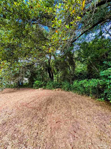 a view of a field with plants and trees in the background