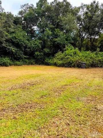 a view of an ocean from a yard