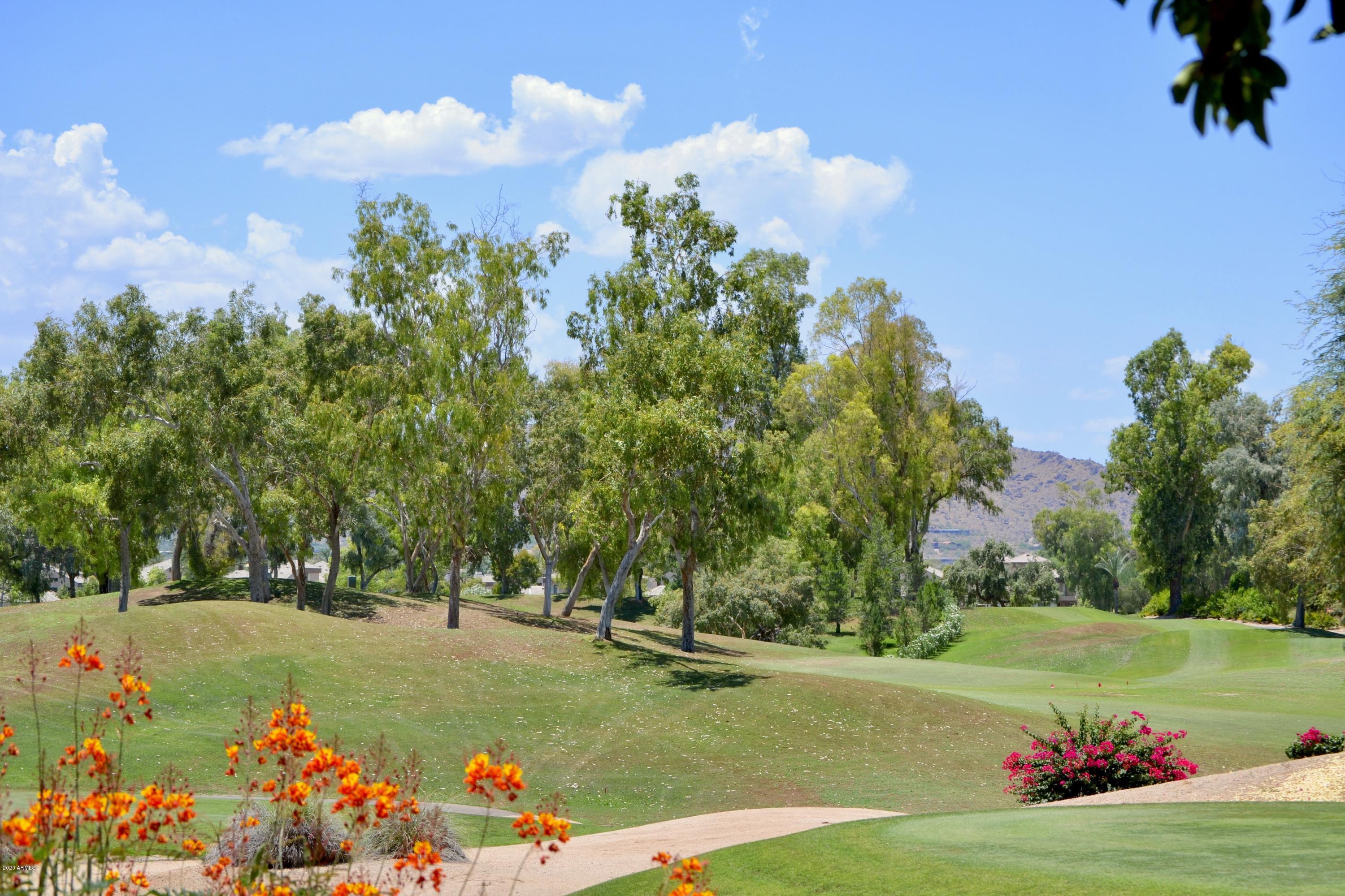 7525 East Gainey Ranch Road, Unit 182 Scottsdale, AZ 85258 - Photo 34 of 39 DSC_8309