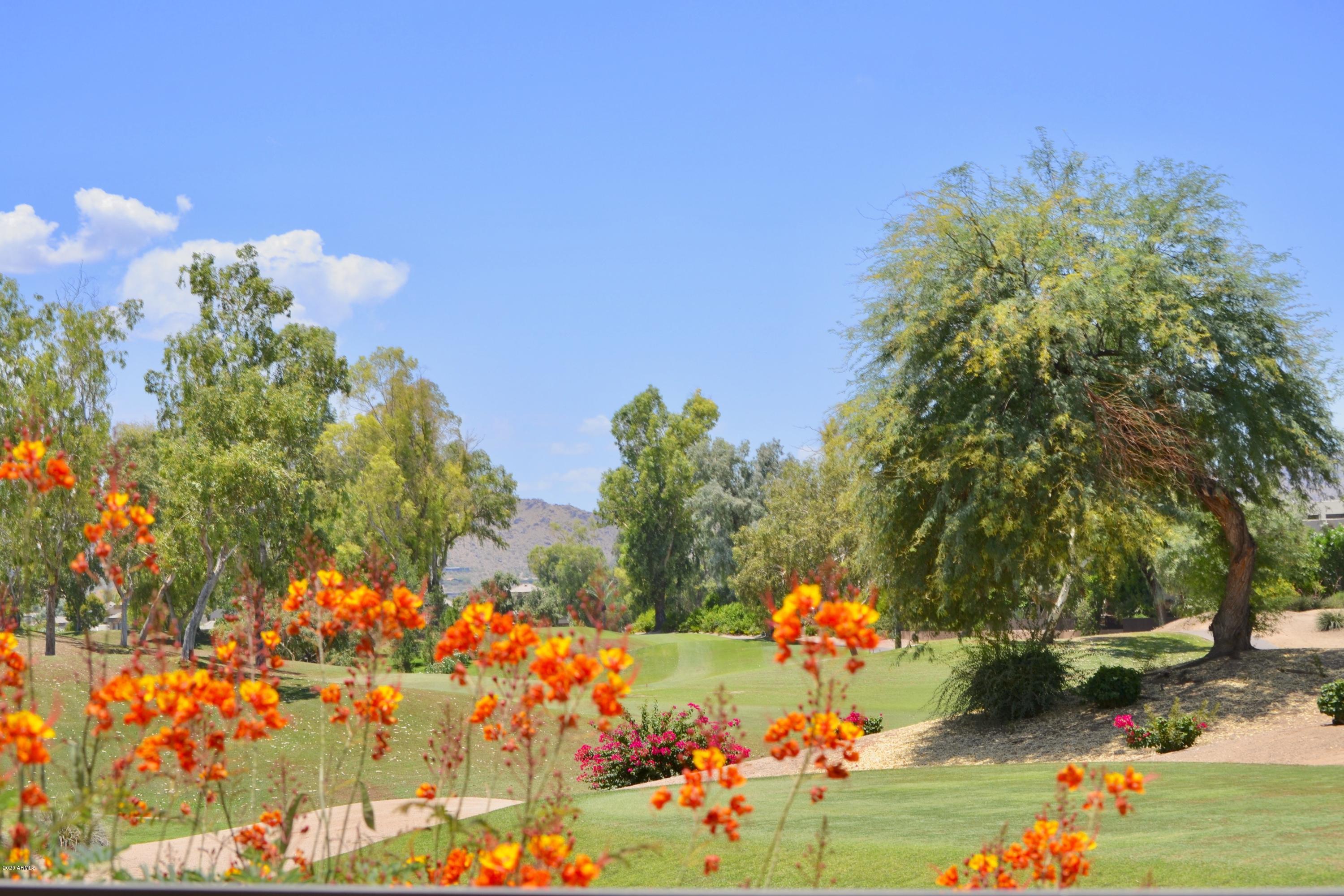 7525 East Gainey Ranch Road, Unit 182 Scottsdale, AZ 85258 - Photo 35 of 39 DSC_8312