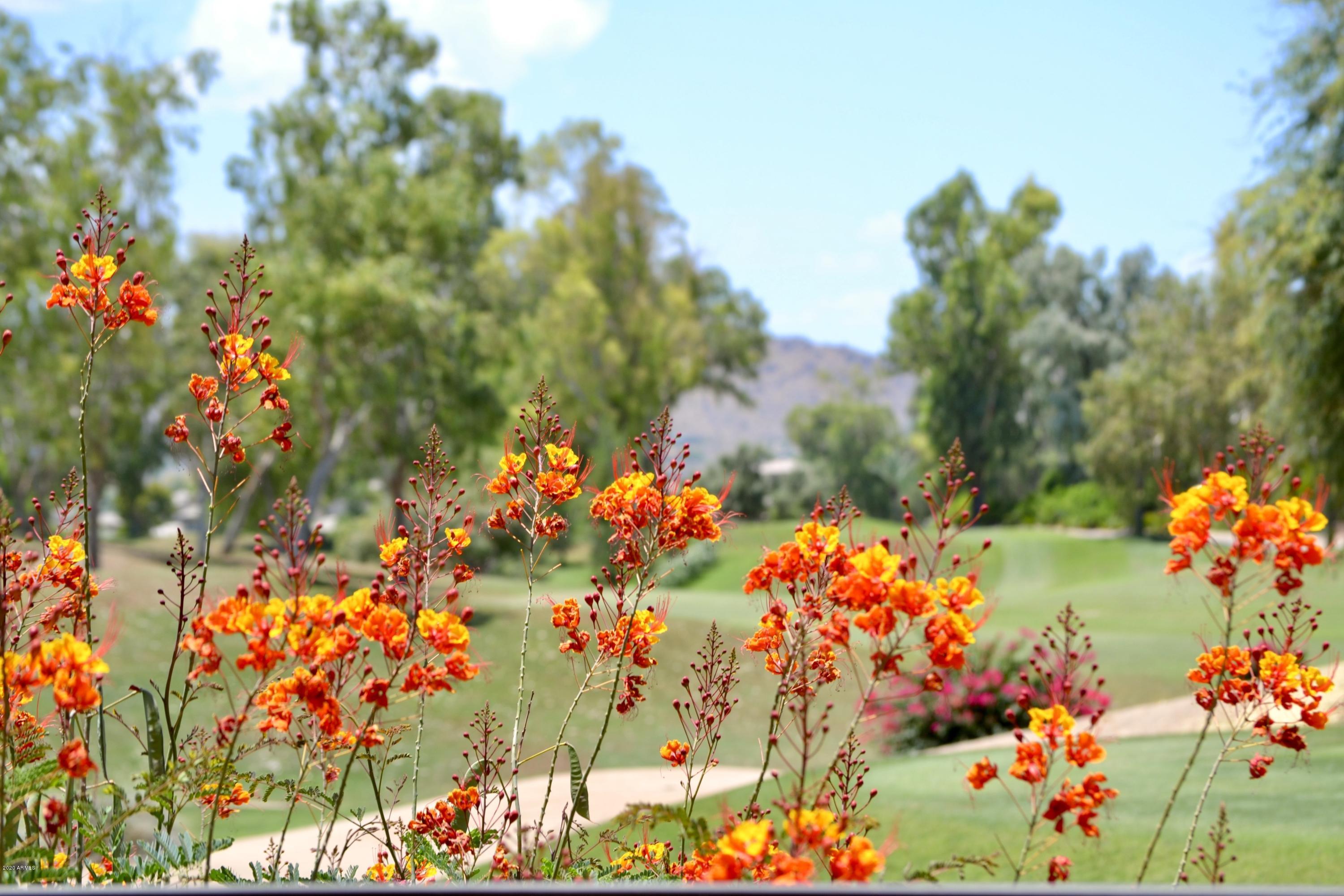 7525 East Gainey Ranch Road, Unit 182 Scottsdale, AZ 85258 - Photo 36 of 39 DSC_8313