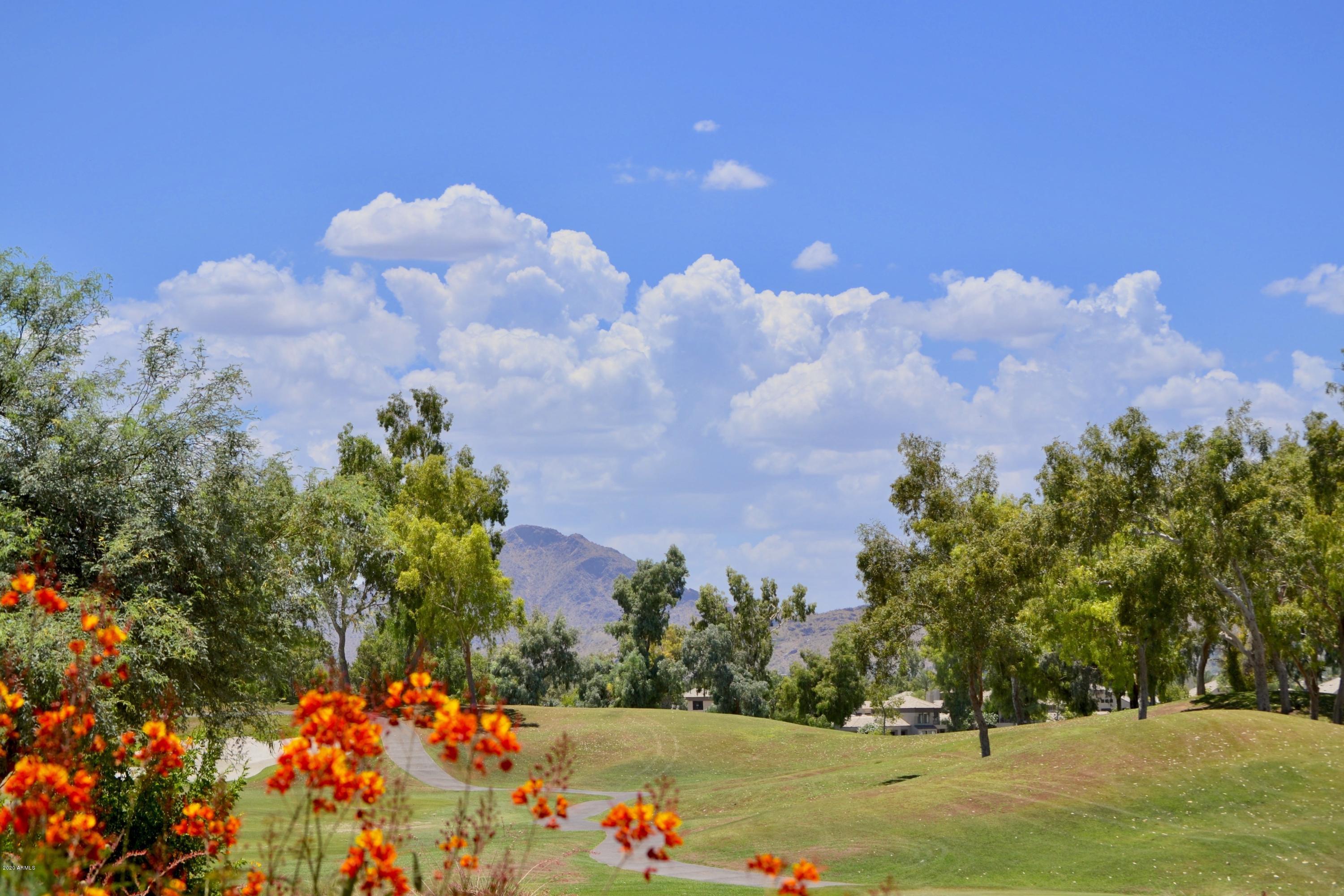 7525 East Gainey Ranch Road, Unit 182 Scottsdale, AZ 85258 - Photo 4 of 39 DSC_8310