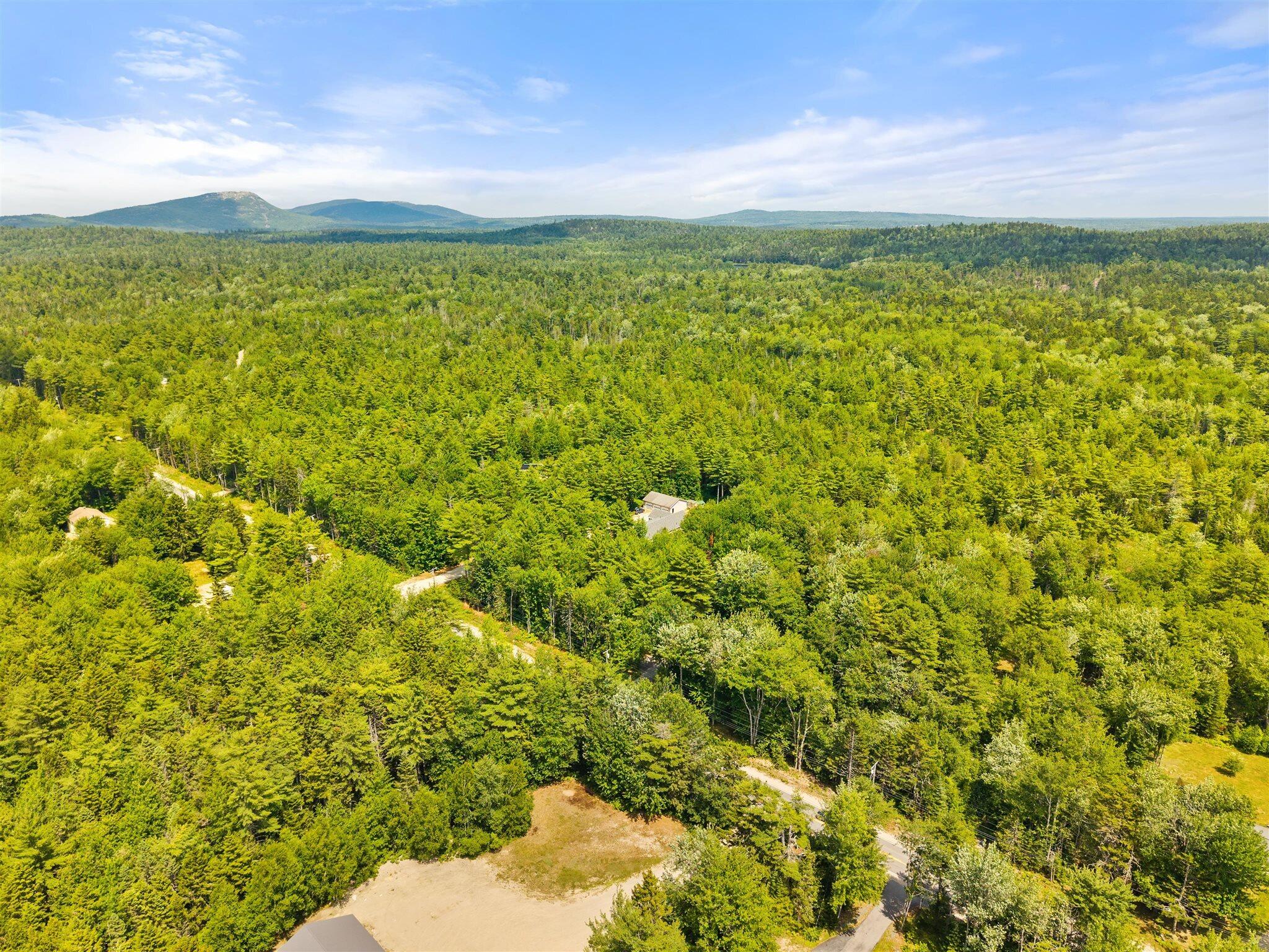 0 Catamount Road Sullivan, ME 04664 - Photo 16 of 23 16-Bert Gray Rd