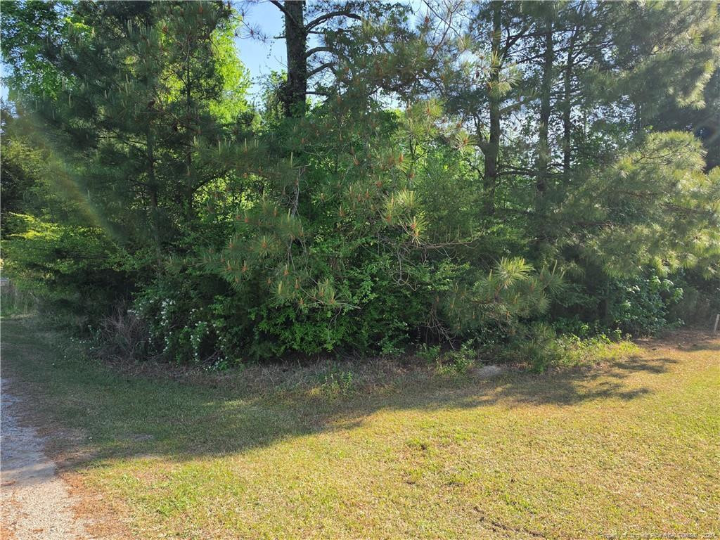 0 Leitha Lane Godwin, NC 28344 - Photo 13 of 39 Photo 13