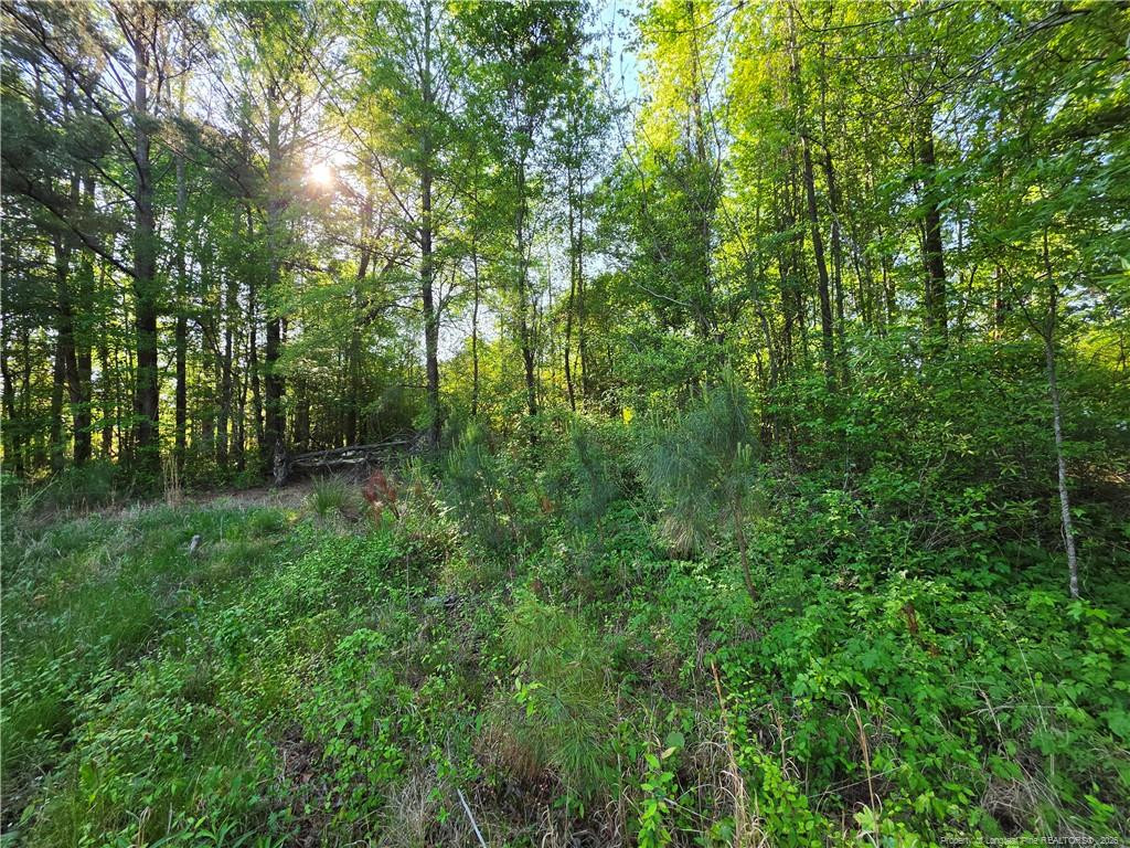 0 Leitha Lane Godwin, NC 28344 - Photo 17 of 39 Photo 17