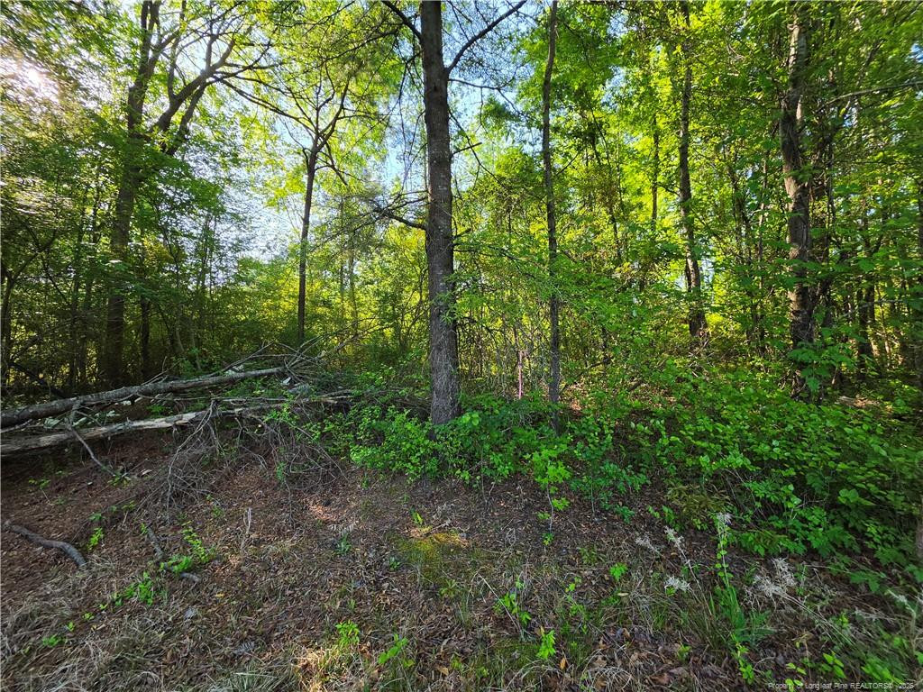 0 Leitha Lane Godwin, NC 28344 - Photo 18 of 39 Photo 18