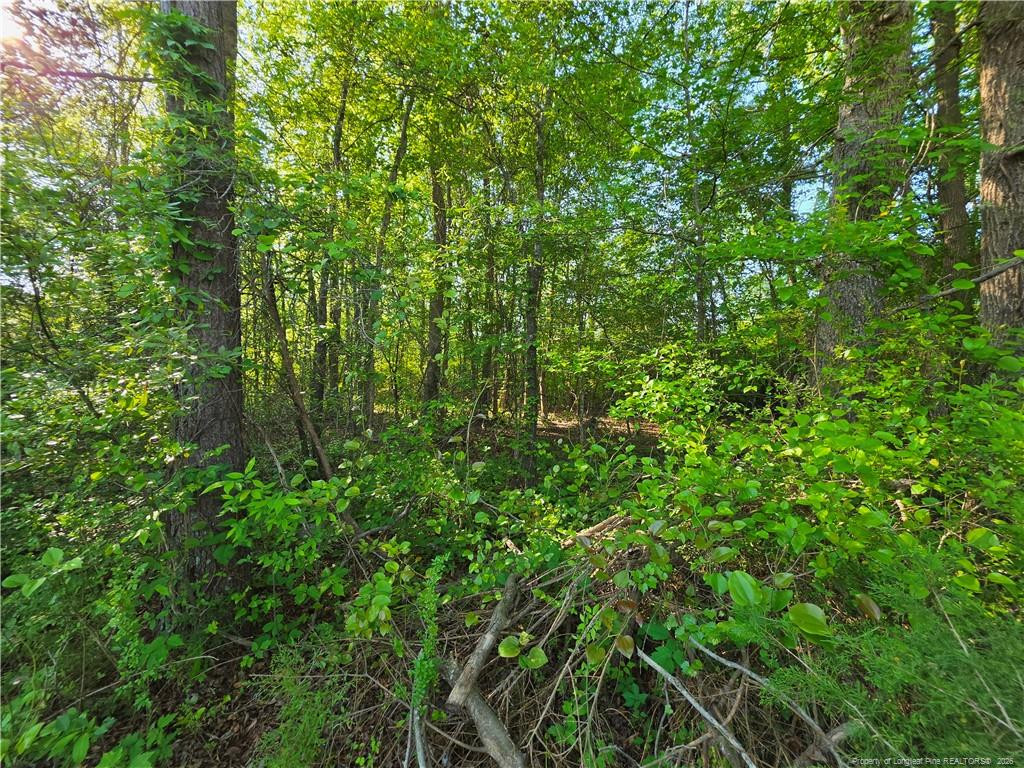 0 Leitha Lane Godwin, NC 28344 - Photo 20 of 39 Photo 20