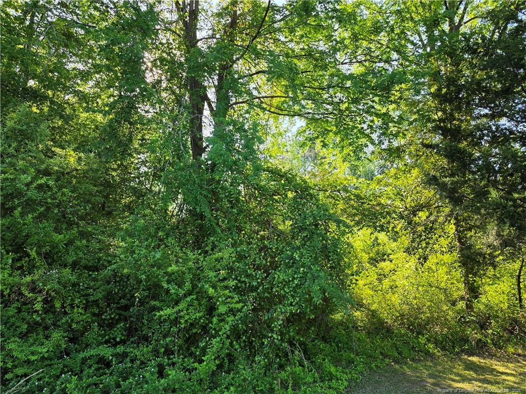 0 Leitha Lane Godwin, NC 28344 - Photo 21 of 39 Photo 21