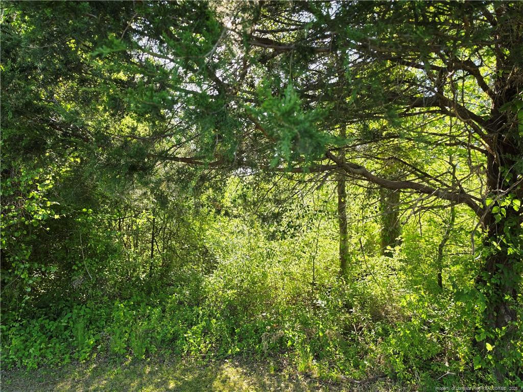 0 Leitha Lane Godwin, NC 28344 - Photo 22 of 39 Photo 22