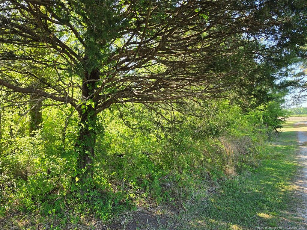 0 Leitha Lane Godwin, NC 28344 - Photo 23 of 39 Photo 23