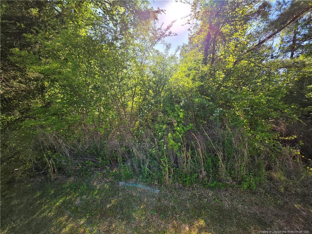 0 Leitha Lane Godwin, NC 28344 - Photo 24 of 39 Photo 24