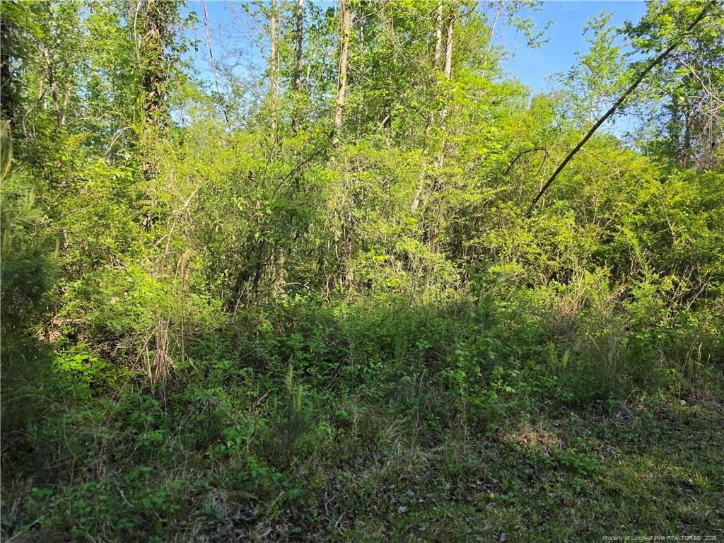 0 Leitha Lane Godwin, NC 28344 - Photo 26 of 39 Photo 26