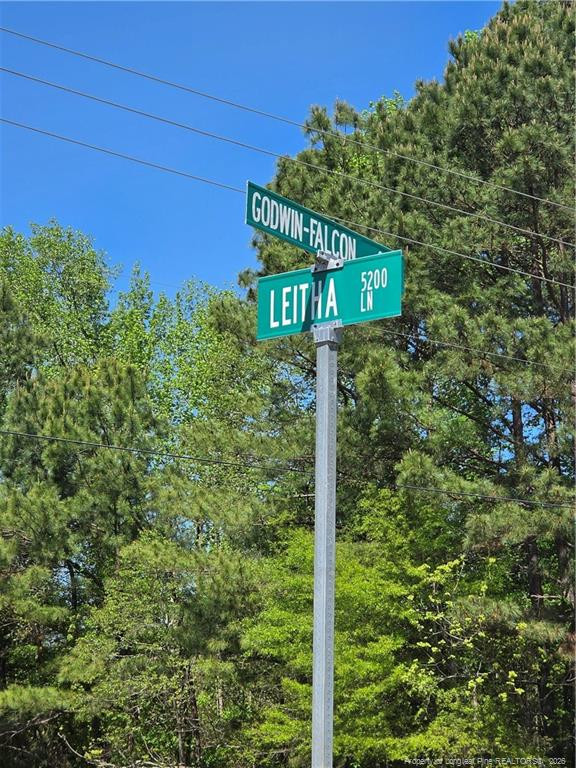 0 Leitha Lane Godwin, NC 28344 - Photo 38 of 39 Photo 38