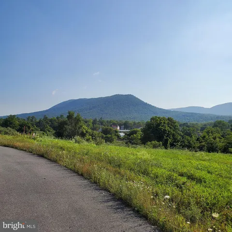 a view of a lush green field with mountains in the background