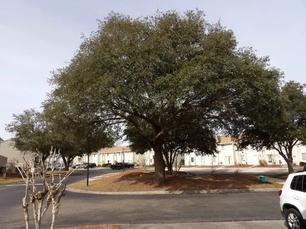 $1,250 | 951 Plantation Drive, Unit A1, Little River, SC 29566