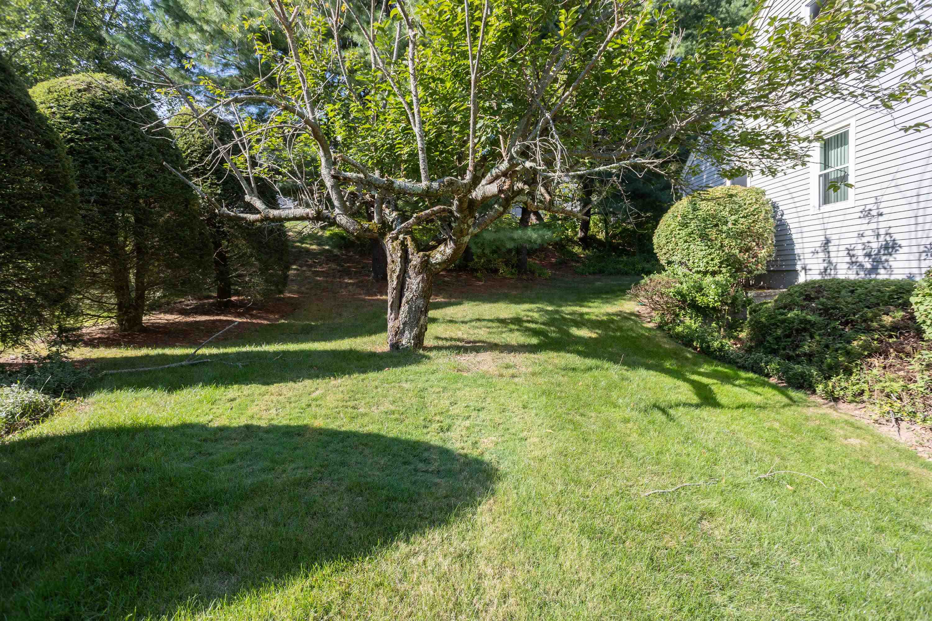 319 Fox Run Road Hudson, NH 03051 - Photo 55 of 58