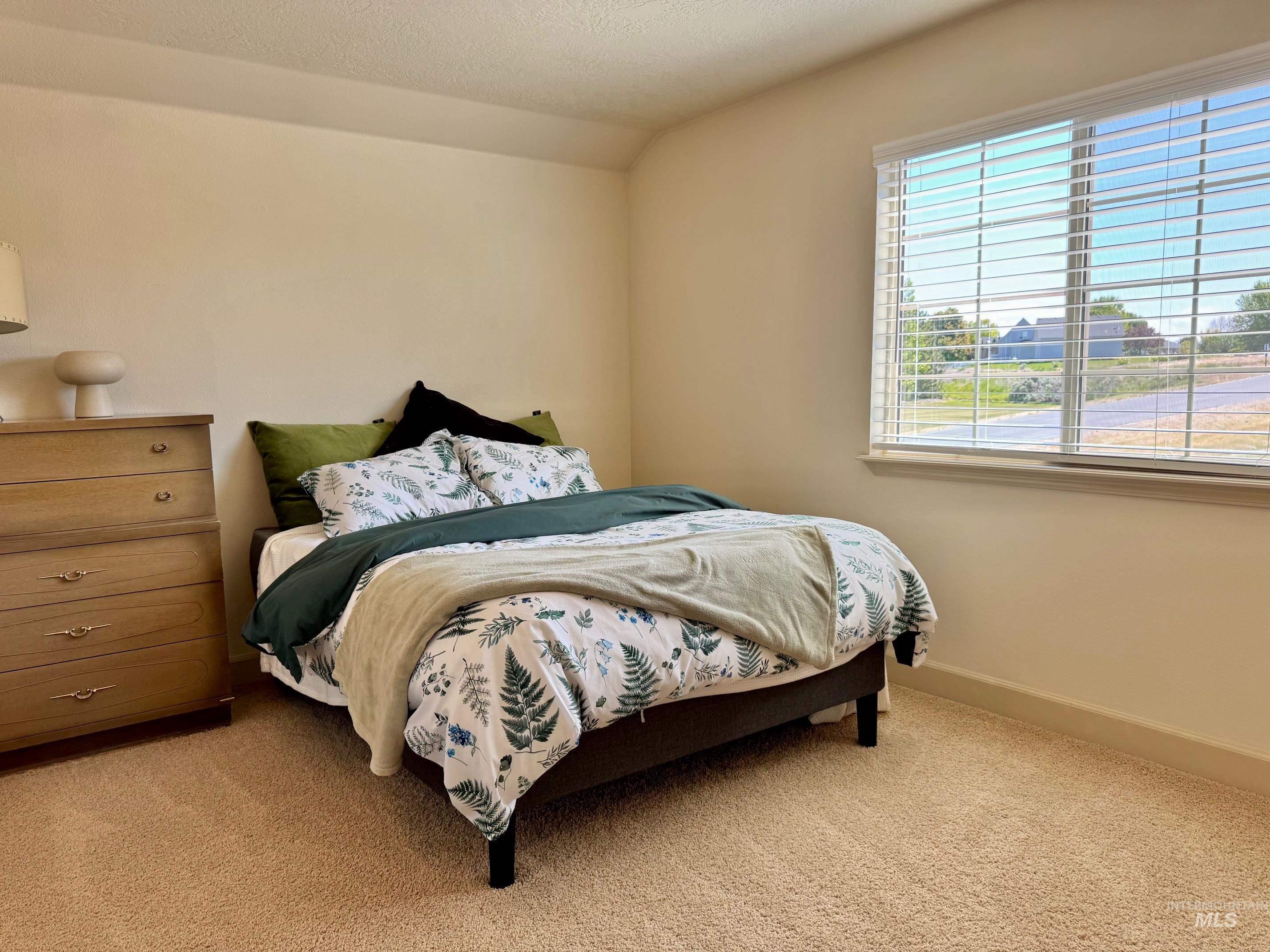 9299 Kemp Road Middleton, ID 83644 - Photo 33 of 50 Bedroom featuring light-colored walls, textured carpeting, a horizontal window with white blinds, and a built-in window sill