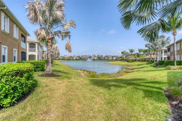 a view of a swimming pool with a lawn chairs and palm trees