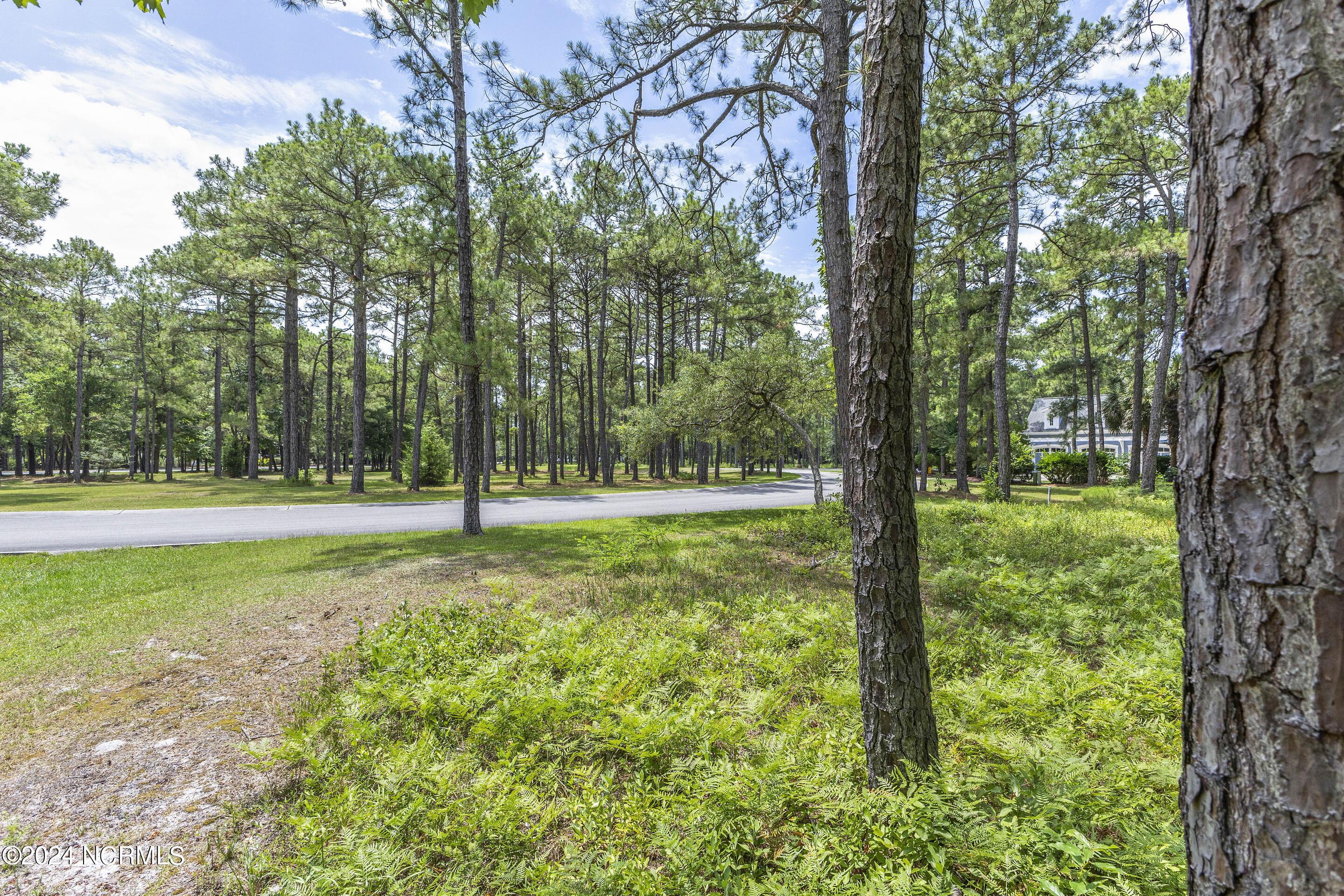 600 Colleton Drive Southwest Supply, NC 28462 - Photo 3 of 22 mls-457A8021