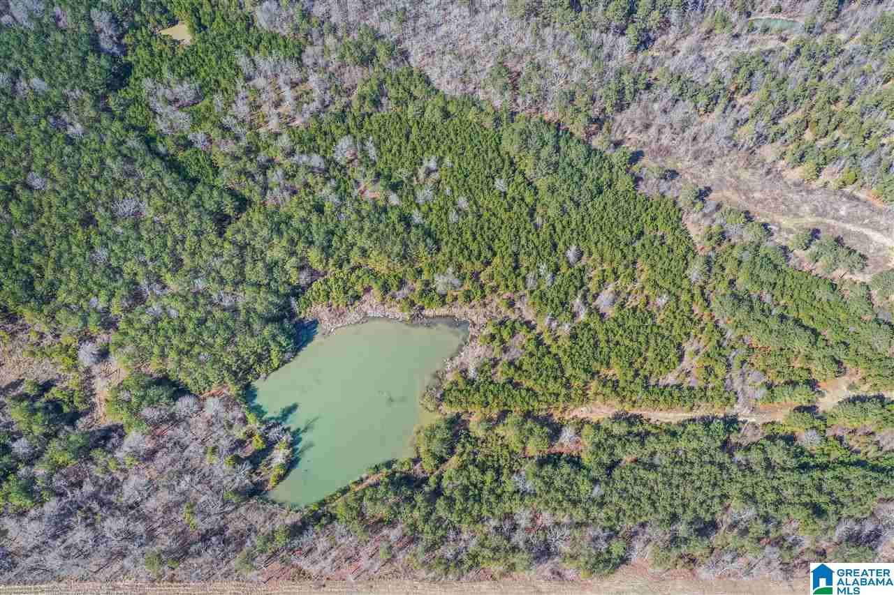 0 Barron Street Steele, AL 35987 - Photo 10 of 14