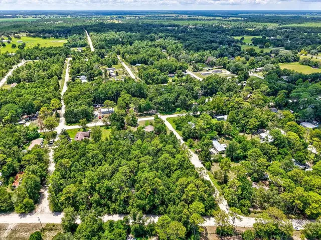 a view of a city with lush green forest
