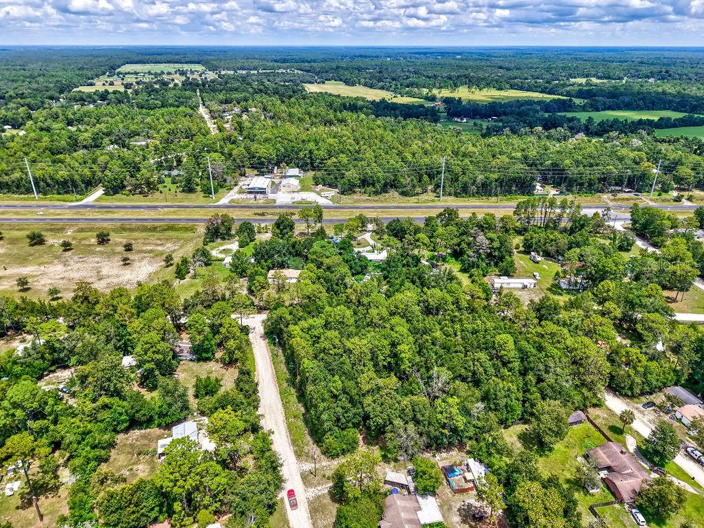 Northeast 51st Place Williston, FL 32696 - Photo 15 of 17 a view of a lush green field with lots of bushes