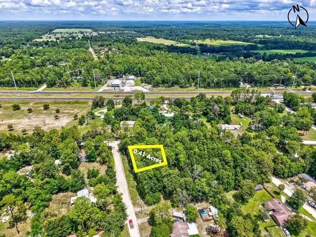 a view of a back yard with green space