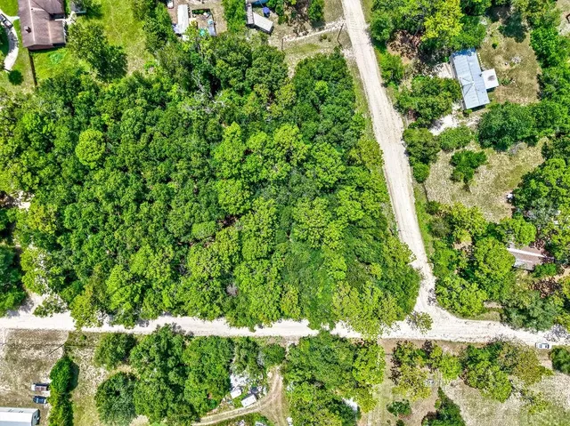 a view of a plant in a garden