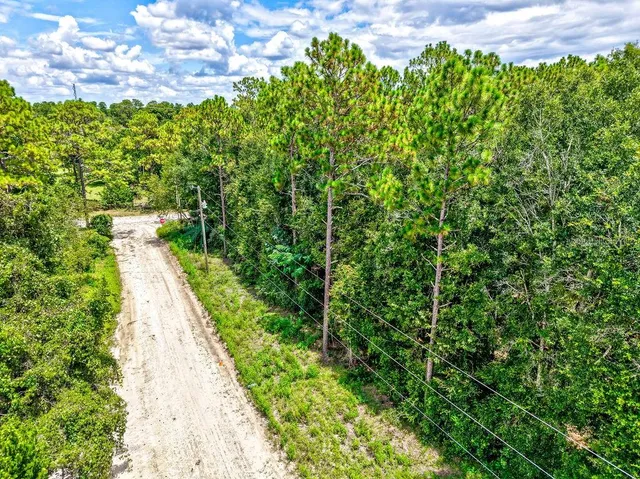 a view of a pathway both side of yard