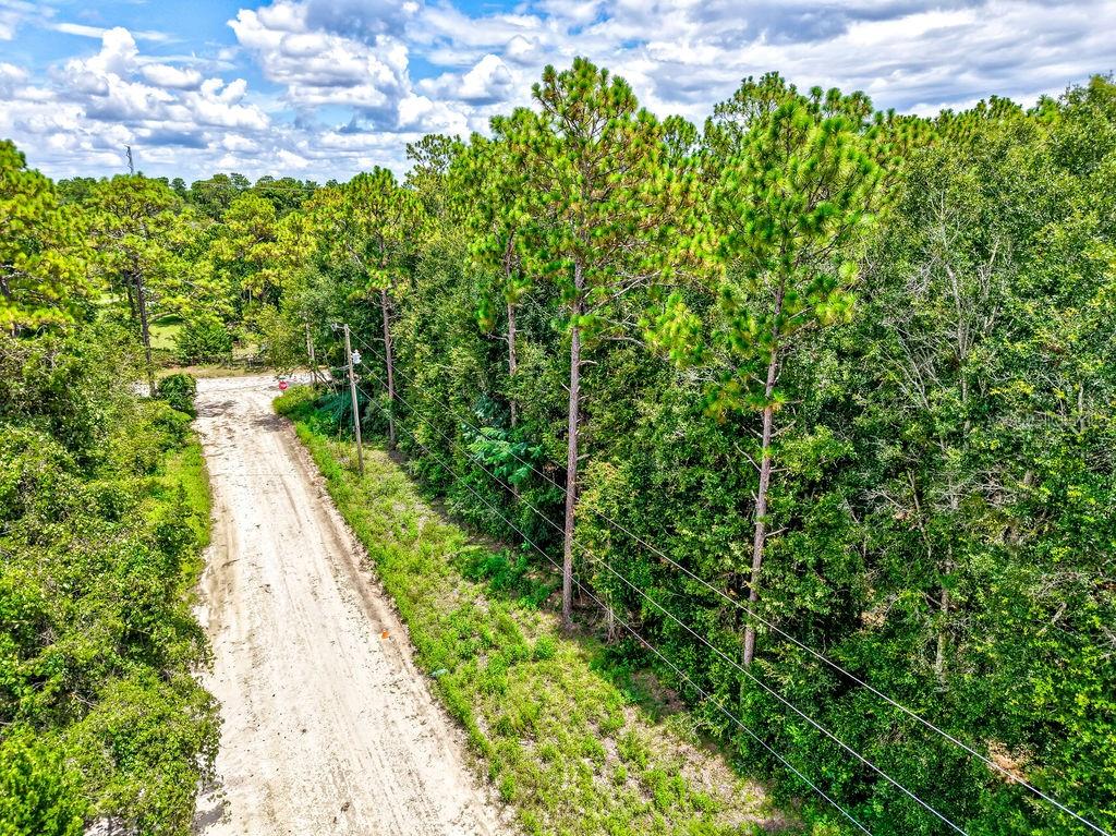 Northeast 51st Place Williston, FL 32696 - Photo 6 of 17 a view of a pathway both side of yard