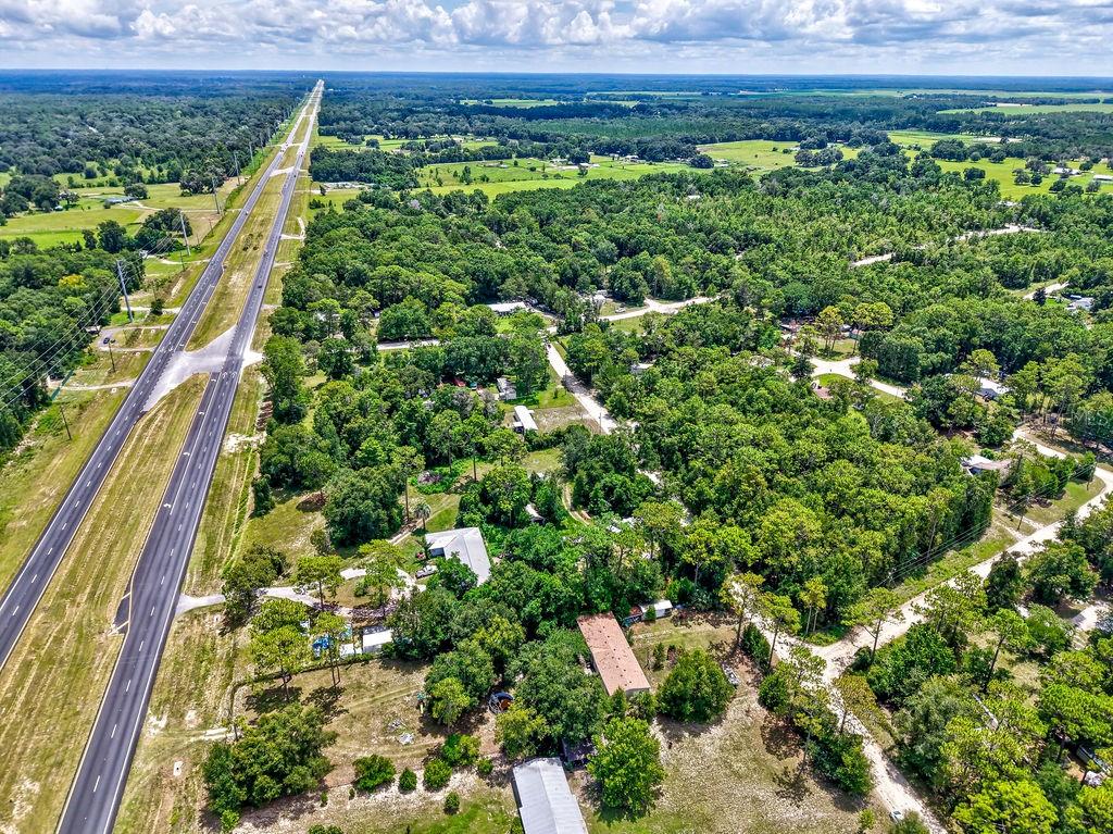 Northeast 51st Place Williston, FL 32696 - Photo 10 of 17 a view of a lush green forest with lots of trees
