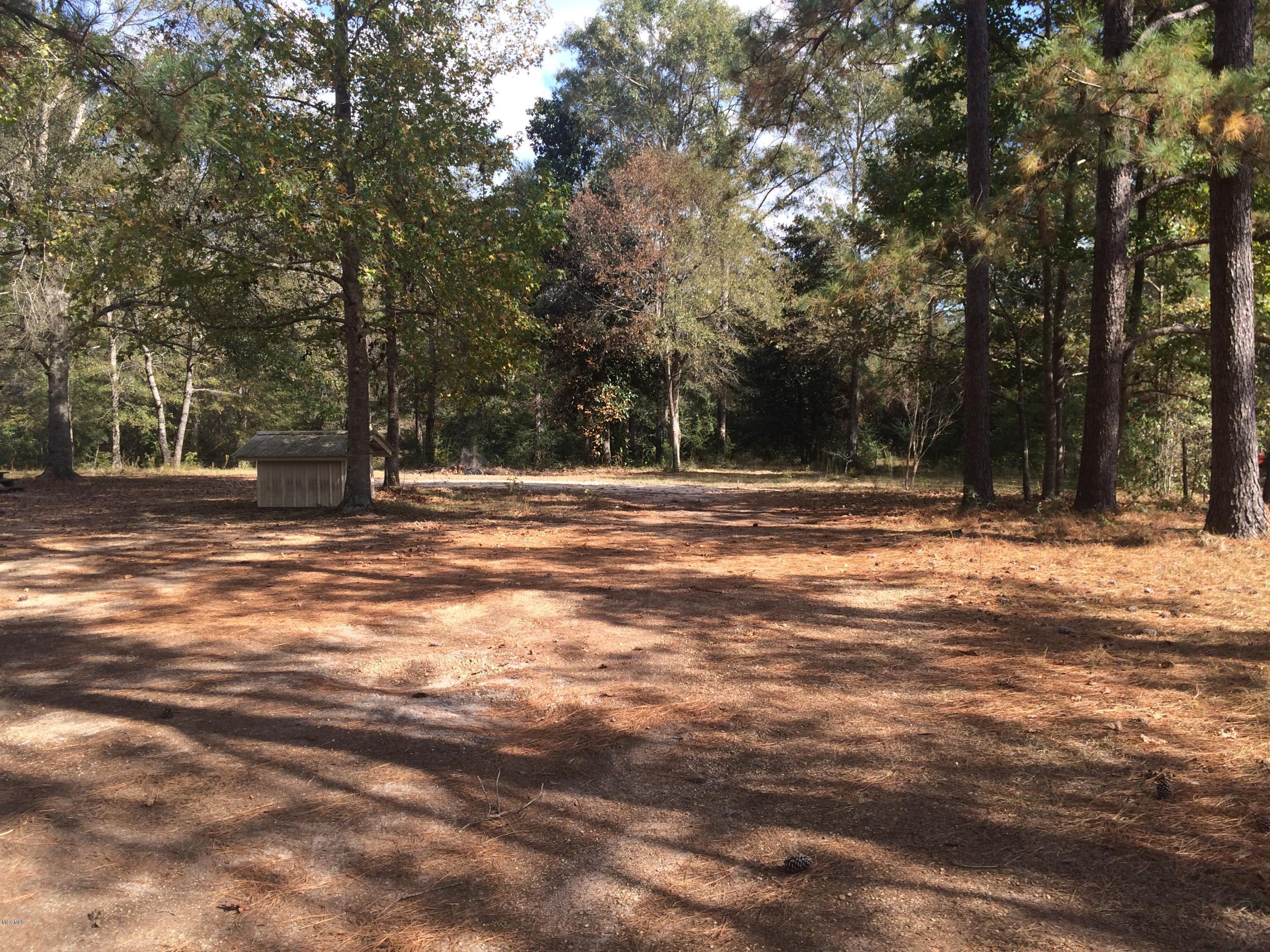 40 Timber Ridge Road Wiggins, MS 39577 - Photo 3 of 11 IMG_1240