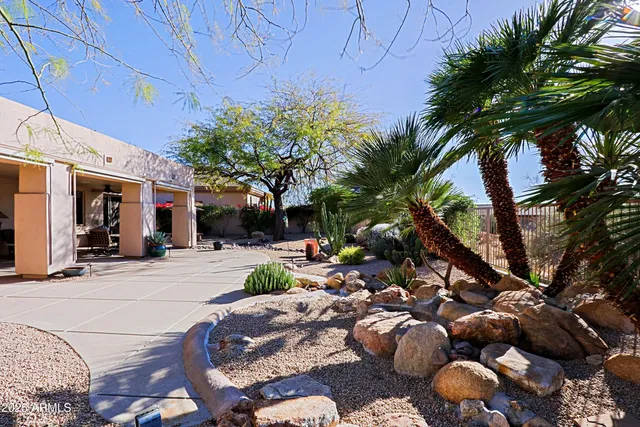 a view of a backyard