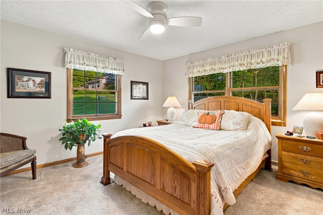 1211 Etter Road Mogadore, OH 44260 - Photo 25 of 48 Ceiling fan with integrated lighting