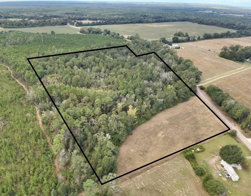 24-acres Mt Zion Road Gordon, AL 36343 - Photo 2 of 13