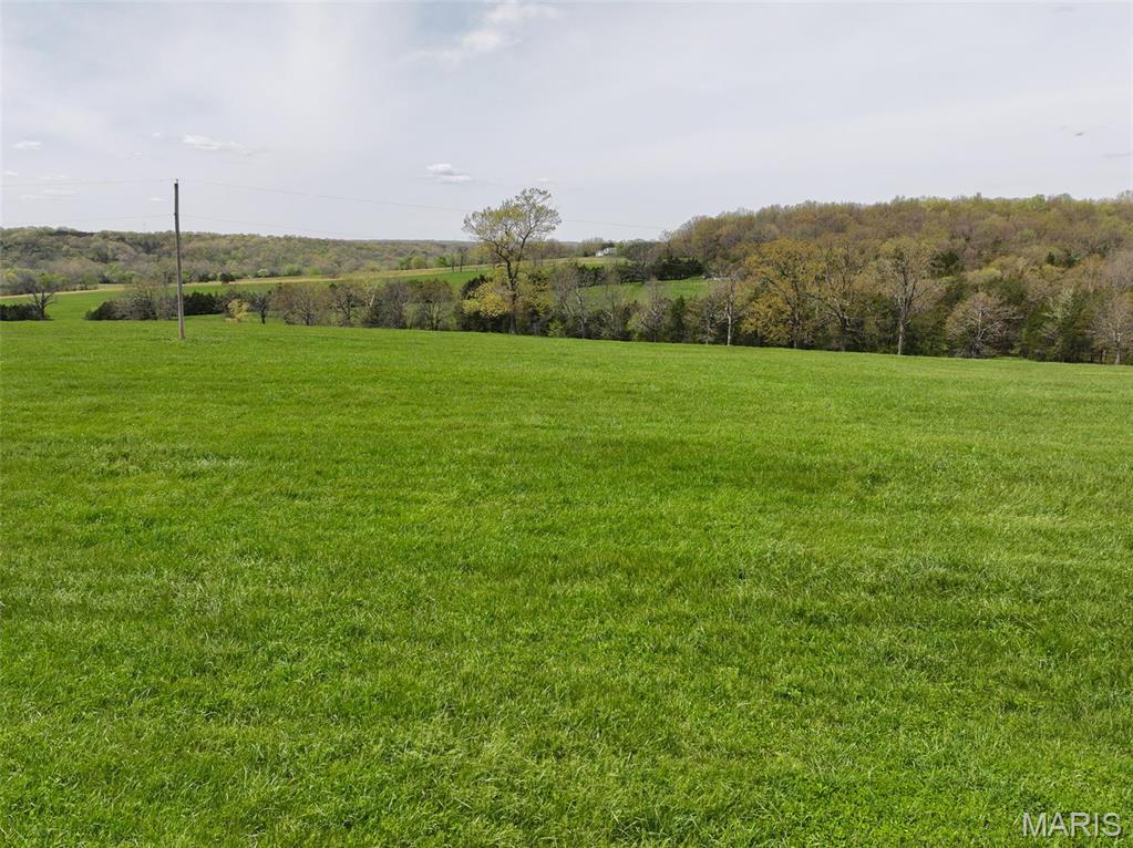 13336 Mt Olive Road De Soto, MO 63020 - Photo 11 of 54