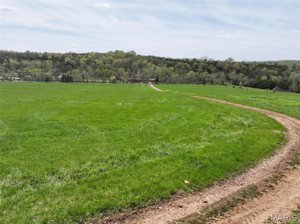 13336 Mt Olive Road De Soto, MO 63020 - Photo 15 of 54