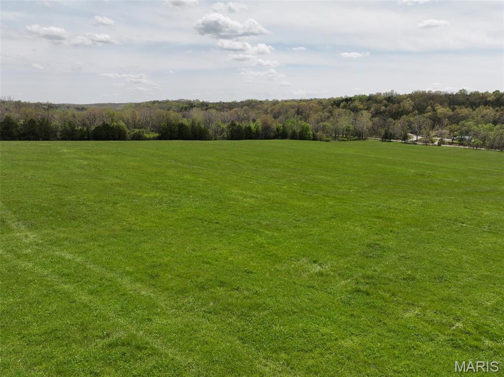 13336 Mt Olive Road De Soto, MO 63020 - Photo 17 of 54