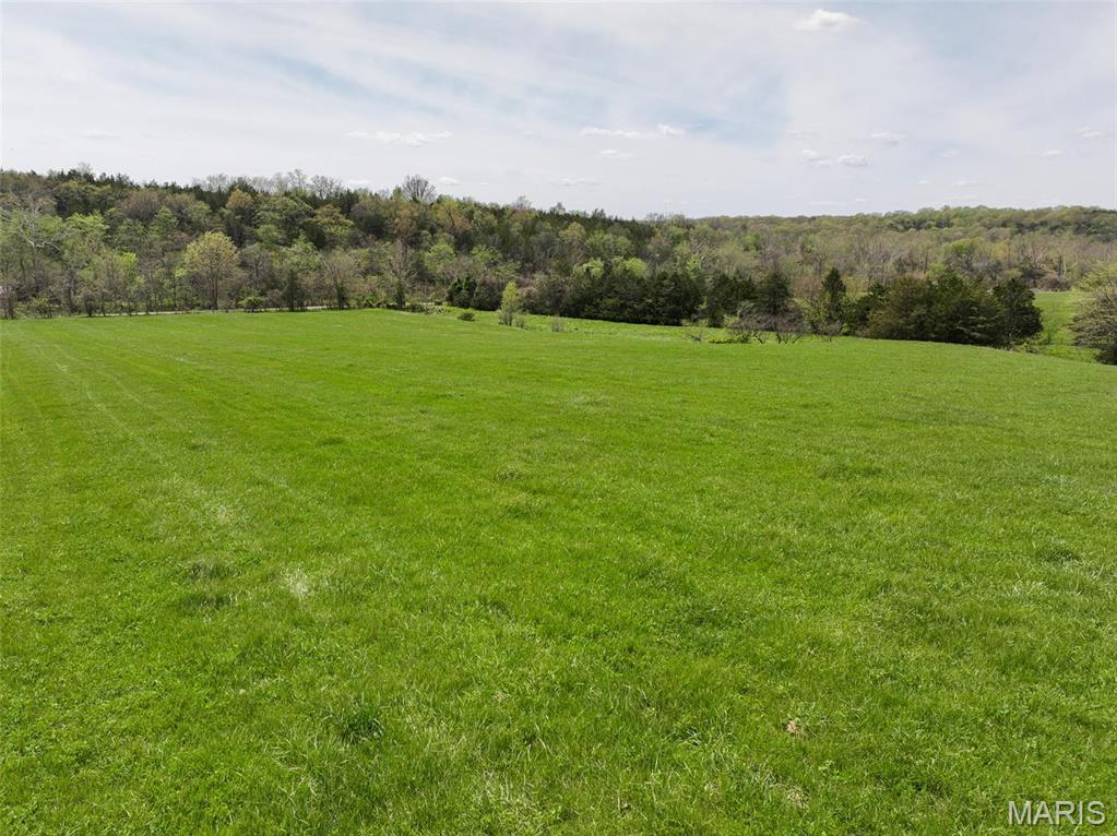 13336 Mt Olive Road De Soto, MO 63020 - Photo 18 of 54