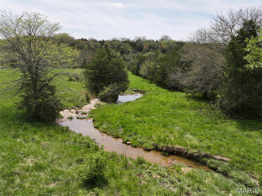 13336 Mt Olive Road De Soto, MO 63020 - Photo 19 of 54