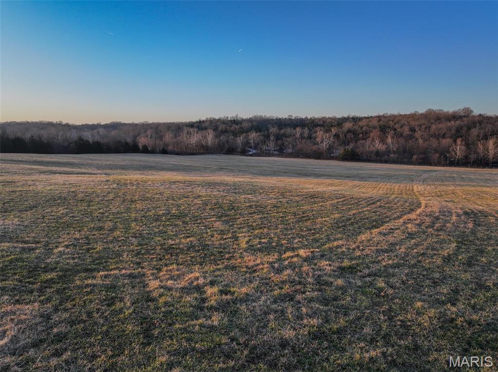 13336 Mt Olive Road De Soto, MO 63020 - Photo 21 of 54